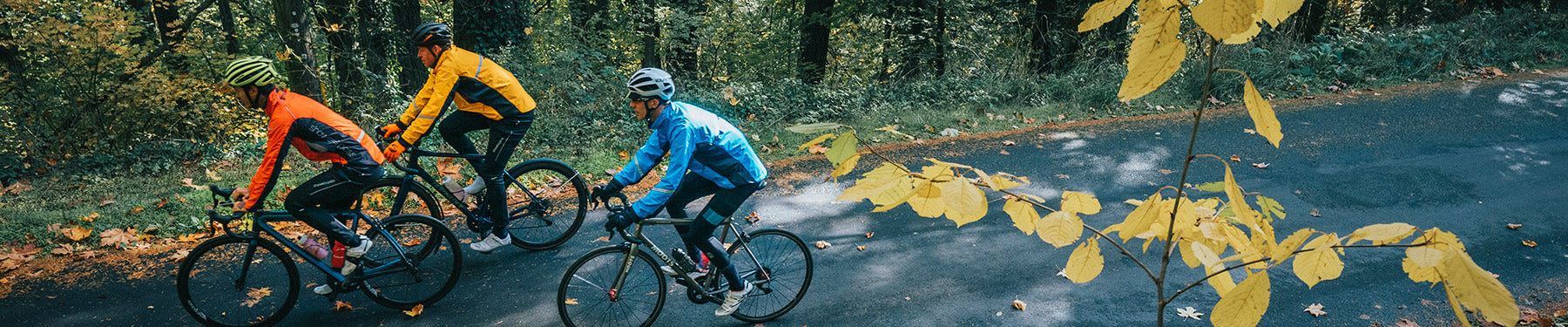 Road Cyclist Gift Guide